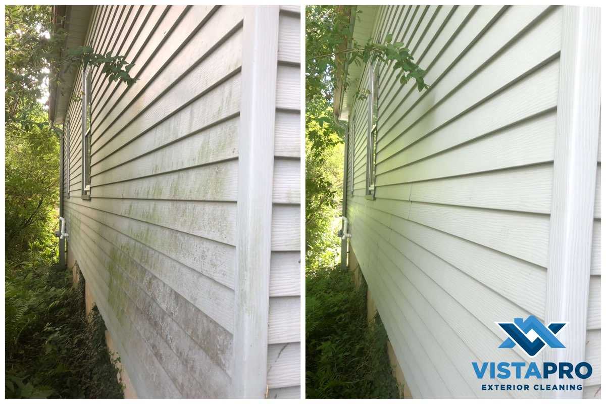 Thiensville before and after house wash
