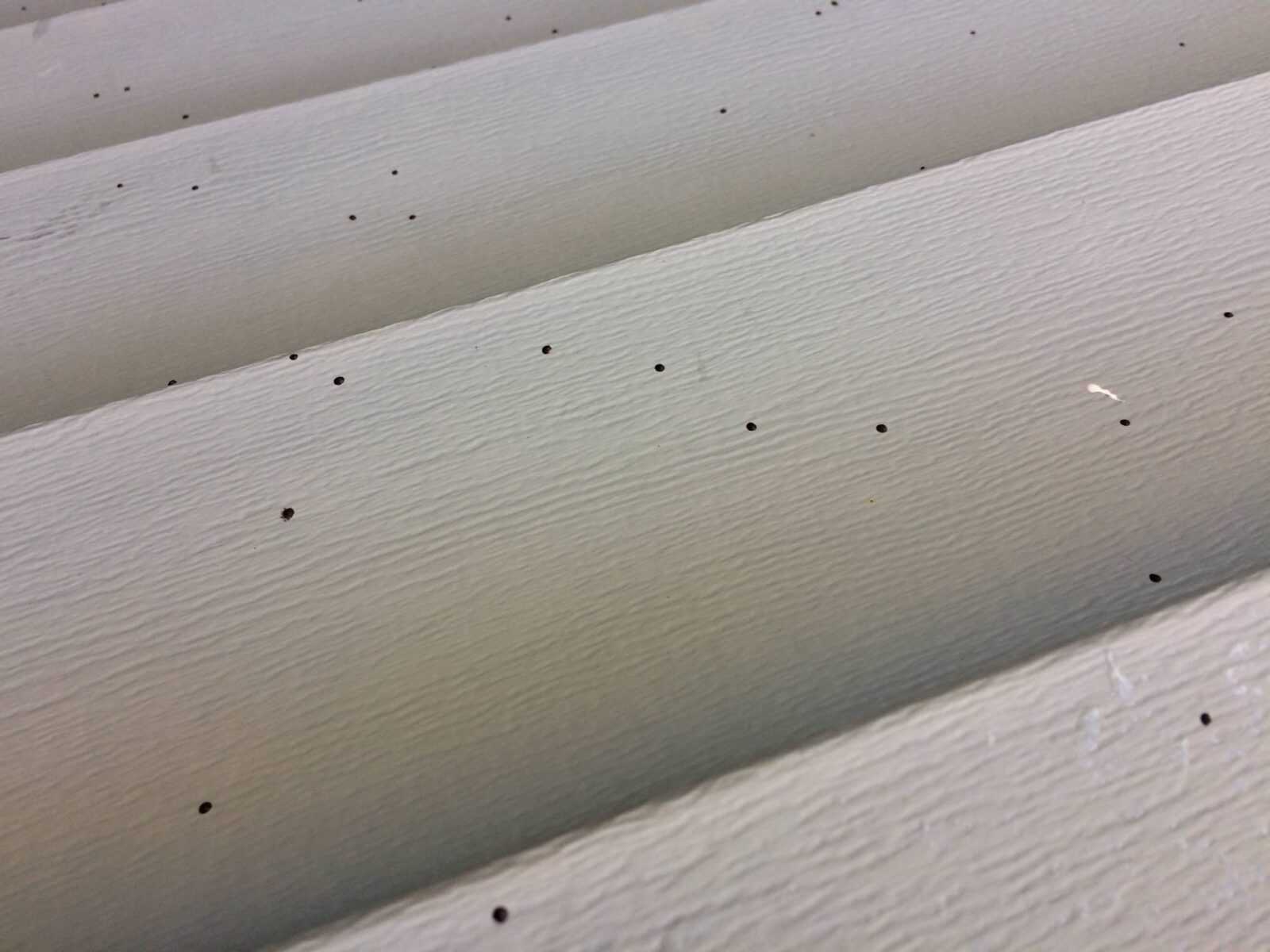 Black dots on vinyl siding