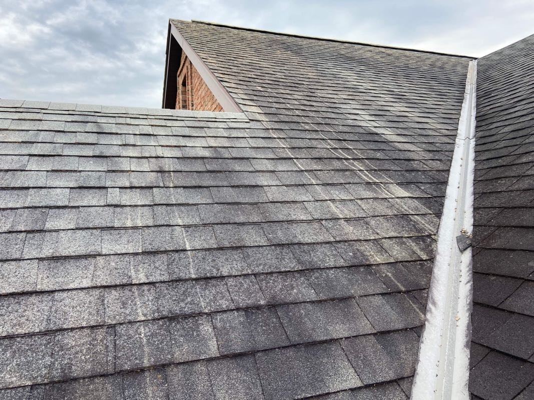 Close up view of a dirty roof with lichens.