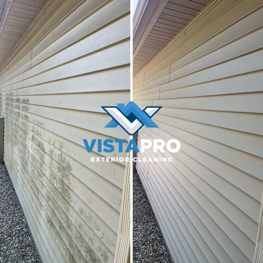 Angled view of a vinyl house in Glendale with algae covering it.