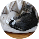 danny53012 profile picture